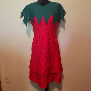Vintage Handmade Strawberry Costume